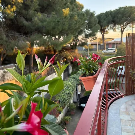 Casa Paladino
